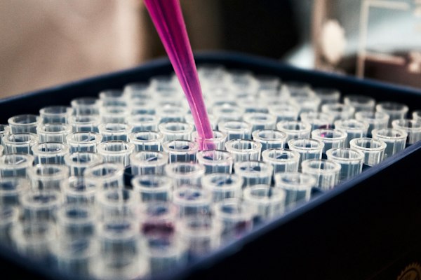 Lab working plastic